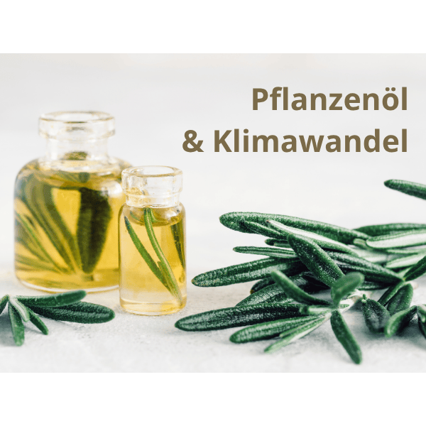 zwei Apothekergläser mit Öl und Kräutern gefüllt, davor liegend frischer Rosmarin.