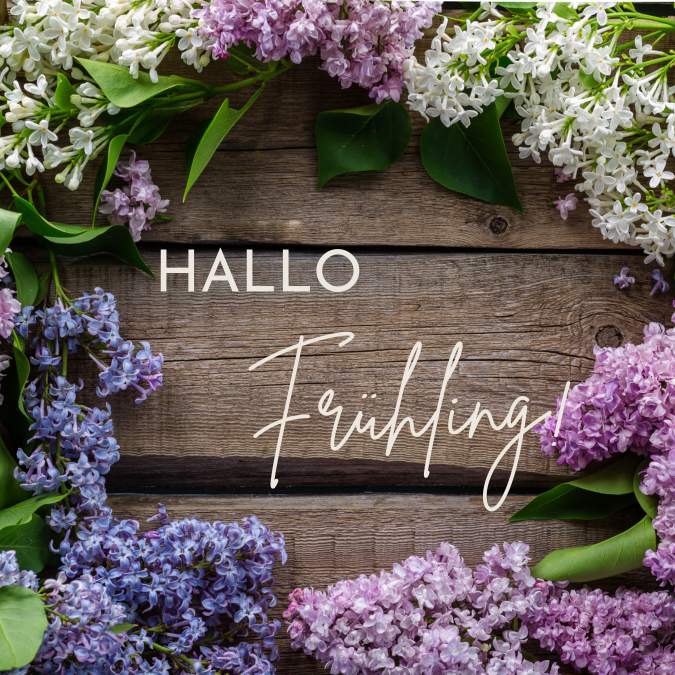 hello (360 x 360 px) (1)