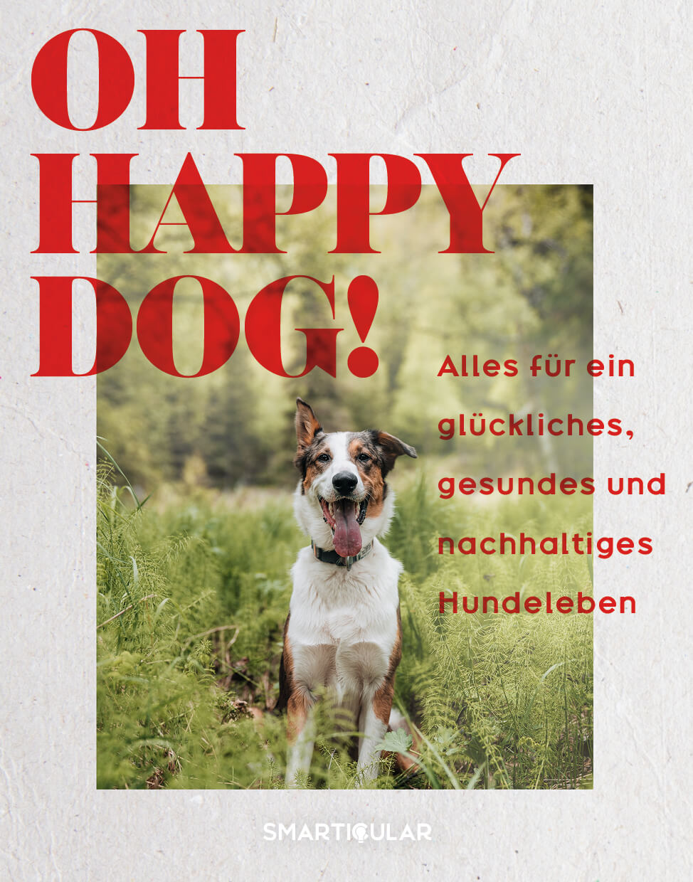 Oh Happy Dog! - Nachhaltiges Hundeleben