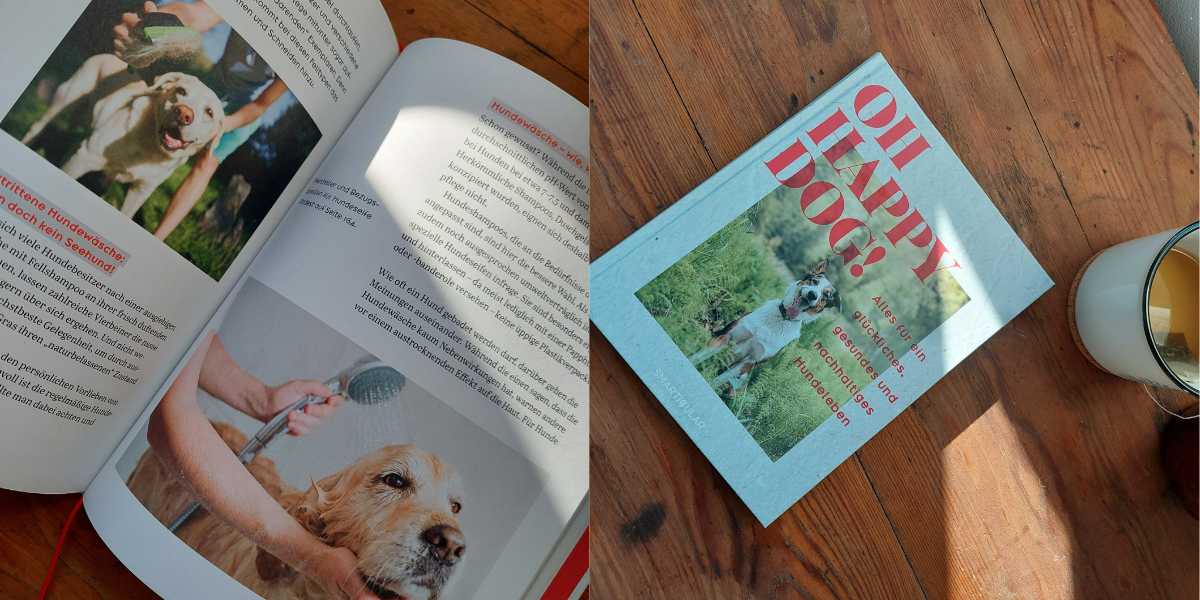 Blick in ein Hundebuch und Aufsicht auf das Cover Oh Happy Dog 