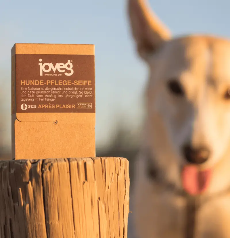 Après Plaisir Seife mit braunem Etikett auf Pfosten, von der Sonne beschienen und süßem Hund im Hintergrund.
